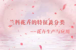 <em>微</em><em>課</em>：<em>園林</em><em>技術</em><em>專業</em>《<em>園林</em><em>花卉</em>—蘭科<em>花卉</em>的特征<em>及</em>分類》