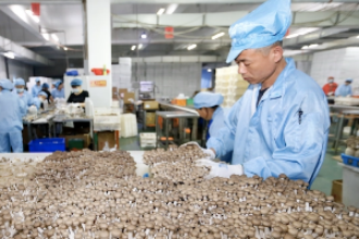 園藝技術專業：《物盡其用》課程思政案例