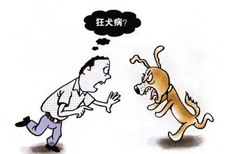 帶你了解狂犬病