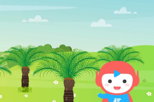 一分鐘了解裸子植物