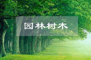 園林技術專業：《園林樹木—“匠心澆筑園林，守護綠水青山”》課程思政案例