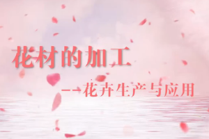 <em>微</em><em>課</em>：園林<em>技術</em><em>專業</em>《插花<em>與</em>盆景—花<em>材</em><em>的</em>加工》