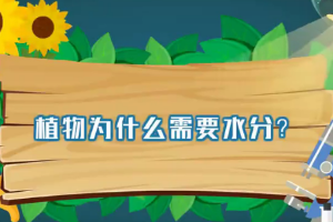 植物<em>為什么</em>需要水分？