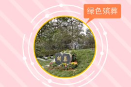 一分鐘了解生態殯葬（綠色殯葬）
