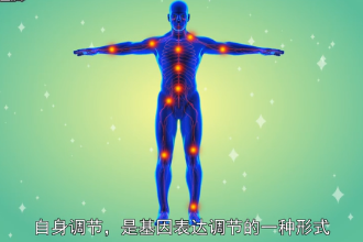 自身調節—基因表達調節形式