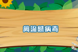 一分鐘了解禽流感病毒