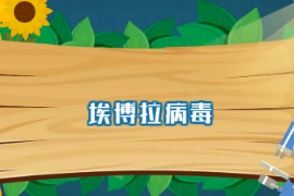 <em>一分鐘</em><em>了解</em>埃博拉<em>病毒</em>