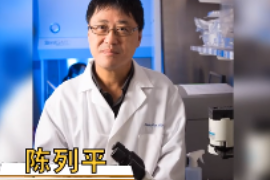 一分鐘了解耶魯癌癥中心免疫學部主任陳列平