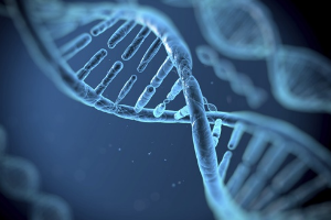 <em>課程標準</em>：<em>生物</em><em>信息技術</em><em>專業</em>《微<em>生物</em>學》<em>課程標準</em>