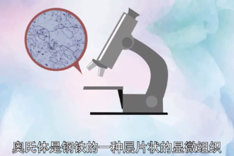 奧氏體—鋼鐵<em>的</em><em>一種</em>層片狀<em>的</em>顯微組織