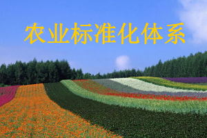 <em>課件</em>：<em>作物</em><em>生產</em><em>與</em><em>經營管理</em><em>專業</em>《農業<em>標準化</em>》