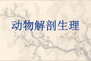 <em>課件</em>：<em>中</em><em>獸醫</em><em>專業</em>《<em>動物解剖</em><em>生理</em>—動物體的基本結構》