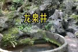 杭州西湖鳳篁嶺有一龍井泉，古老又神秘，被人們譽為天下第三泉