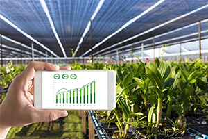 綠色生物制造技術專業：《細胞工程》課程思政教學案例