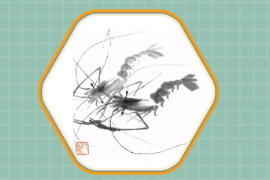 <em>一分鐘</em><em>讀懂</em>齊白石蝦<em>圖</em>