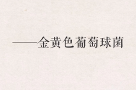 帶你了解金<em>黃色</em>葡萄球菌