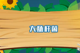 一分鐘了解大腸桿菌