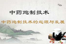 課件：中藥學專業《中藥炮制學—中藥炮制技術—中藥炮制技術的起源與發展》