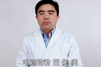 中藥君臣佐使什么意思
