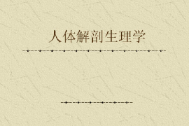 課件：藥學(xué)專業(yè)《人體解剖生理學(xué)》