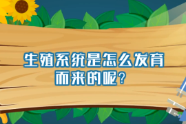 生殖系統(tǒng)是怎么發(fā)育而來(lái)的呢？