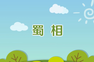 《<em>蜀</em>相》—杜甫<em>創(chuàng)作</em>七言律詩