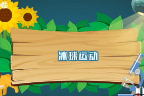 一分鐘了解<em>冰球</em>運動