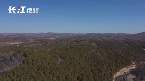 從武漢小伙到塞罕壩大爺，三代人60年接力建林海