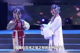 我國(guó)有<em>百戲</em>之祖之稱<em>的</em>劇種是什么？