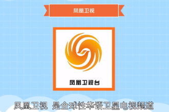 鳳凰衛(wèi)視—全球性華語(yǔ)衛(wèi)星電視頻道
