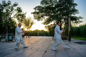 體育教育專業：《太極拳—行太極育人生》課程思政案例