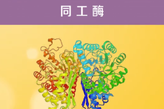 帶您了解同工酶