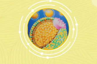 一分鐘<em>了解</em>極低密度脂蛋白
