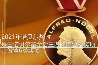 一分鐘了解2021年諾貝爾獎