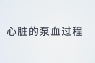心臟<em>的</em>泵血過程