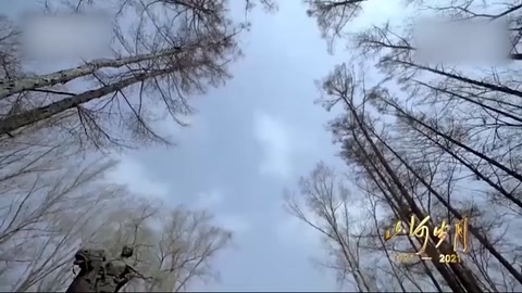 對趙一<em>曼</em>用刑的主兇供述 她像鋼鐵一樣的堅硬
