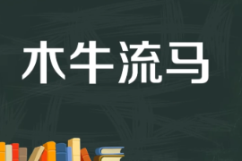 一分鐘了解木牛流馬