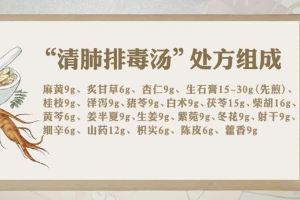 清肺排毒湯—中醫經典方劑組合