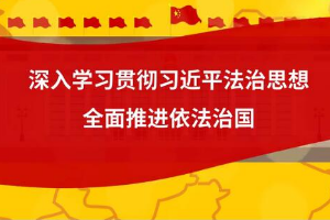 微動漫  “十一個堅持”<em>推進</em><em>全面</em><em>依法治</em>國