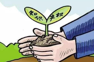 帶你了解知識(shí)產(chǎn)權(quán)法（圖3）