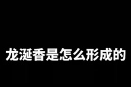 龍涎香是<em>怎么</em>形成<em>的</em><em>你</em>知道<em>嗎</em>？