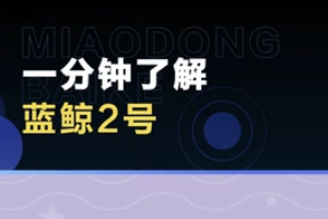 帶您了解藍鯨2號