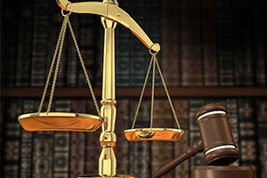 <em>涉外</em><em>警務</em><em>專業</em>：跨國犯罪對國家安全的危害及其對策