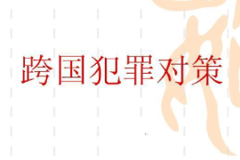 課件：涉外警務專業《跨國犯罪對策》
