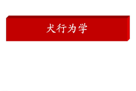<em>課件</em>：<em>警犬</em><em>技術(shù)</em><em>專業(yè)</em>《犬行為<em>學(xué)</em>》