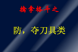 <em>課件</em>：警犬技術<em>專業</em>《<em>擒拿格斗</em>—防，奪刀具類》