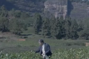 王順明<em>是</em><em>誰</em>？懂茶的都知道！