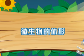 <em>帶你</em><em>了解</em><em>微生物</em>的體形