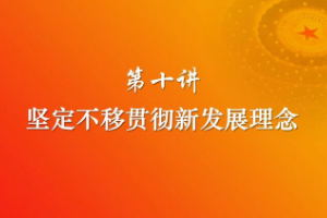堅定不移<em>貫徹</em><em>新發展</em><em>理念</em>