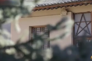 土地改革運動在各根據地普遍開展起來